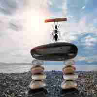 快​速﻿API接﻿口‍脚﻿本​